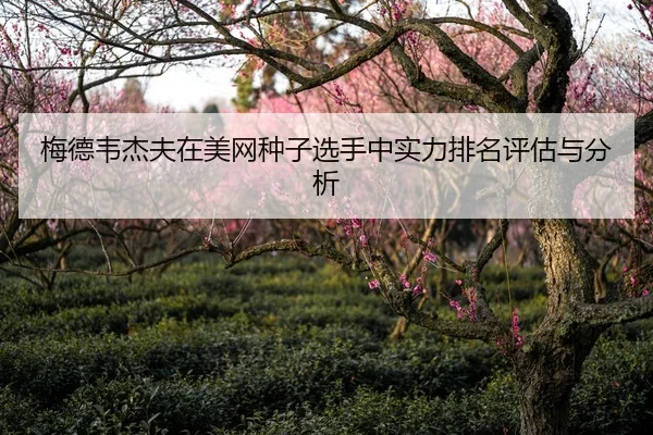 梅德韦杰夫在美网种子选手中实力排名评估与分析